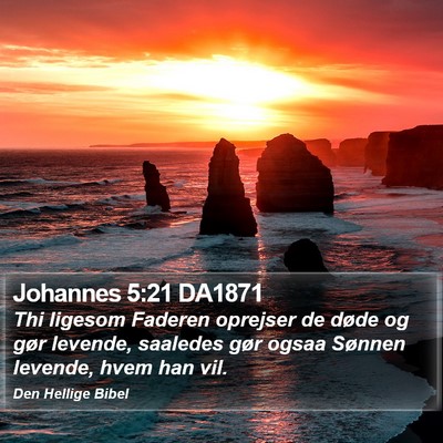 Johannes 5:21 DA1871 Bible Verse Image