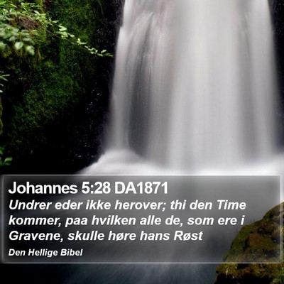 Johannes 5:28 DA1871 Bible Verse Image