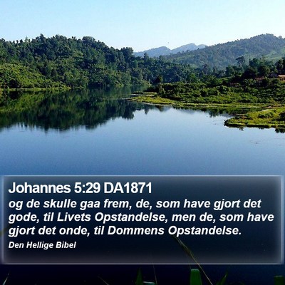 Johannes 5:29 DA1871 Bible Verse Image