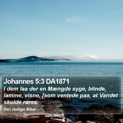 Johannes 5:3 DA1871 Bible Verse Image