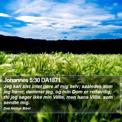 Johannes 5:30 DA1871 Bible Verse Image
