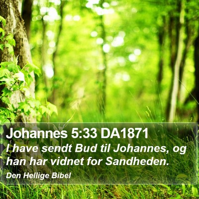 Johannes 5:33 DA1871 Bible Verse Image