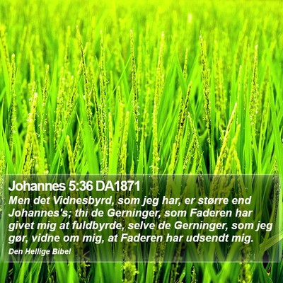 Johannes 5:36 DA1871 Bible Verse Image