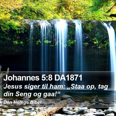 Johannes 5:8 DA1871 Bible Verse Image