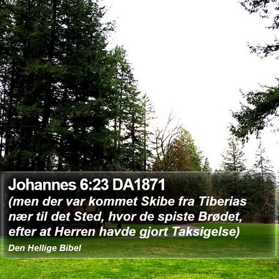 Johannes 6:23 DA1871 Bible Verse Image