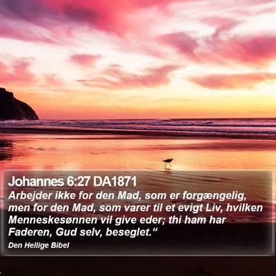 Johannes 6:27 DA1871 Bible Verse Image