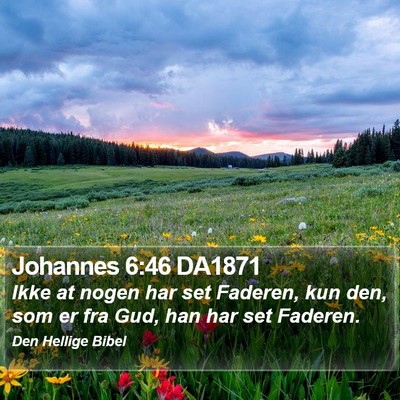 Johannes 6:46 DA1871 Bible Verse Image