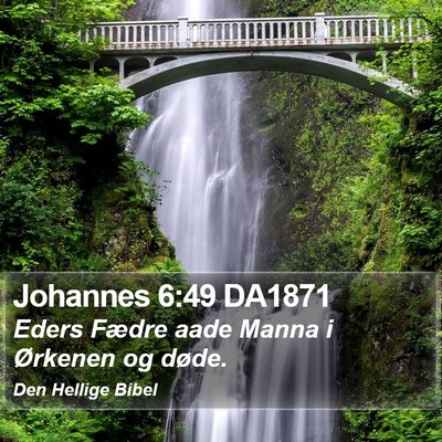 Johannes 6:49 DA1871 Bible Verse Image