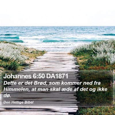 Johannes 6:50 DA1871 Bible Verse Image