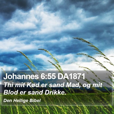 Johannes 6:55 DA1871 Bible Verse Image