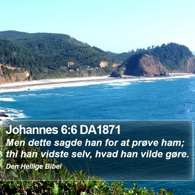 Johannes 6:6 DA1871 Bible Verse Image