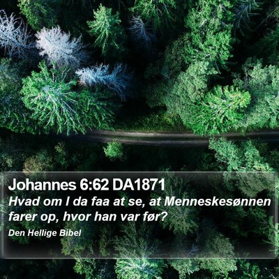 Johannes 6:62 DA1871 Bible Verse Image
