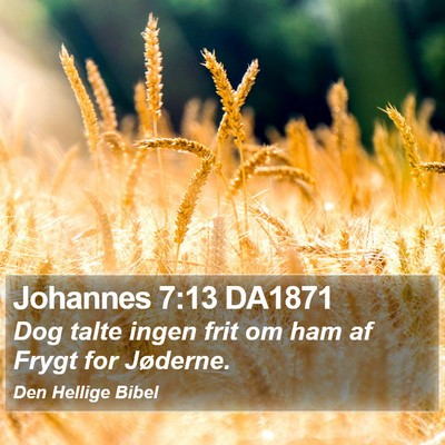 Johannes 7:13 DA1871 Bible Verse Image