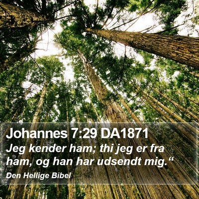Johannes 7:29 DA1871 Bible Verse Image