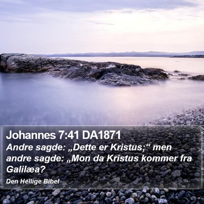 Johannes 7:41 DA1871 Bible Verse Image