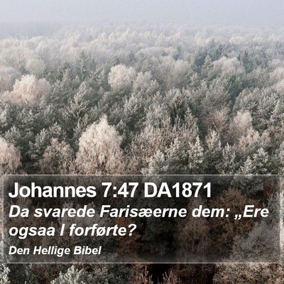 Johannes 7:47 DA1871 Bible Verse Image