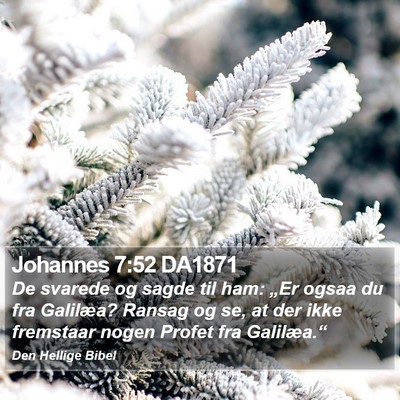Johannes 7:52 DA1871 Bible Verse Image