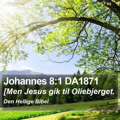 Johannes 8:1 DA1871 Bible Verse Image