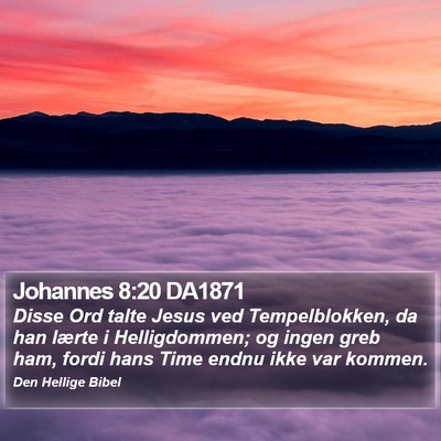 Johannes 8:20 DA1871 Bible Verse Image