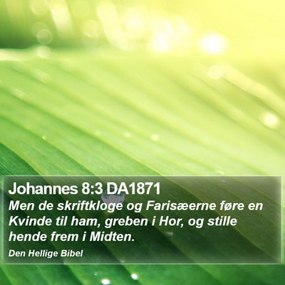 Johannes 8:3 DA1871 Bible Verse Image