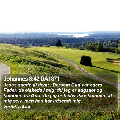 Johannes 8:42 DA1871 Bible Verse Image