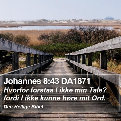 Johannes 8:43 DA1871 Bible Verse Image
