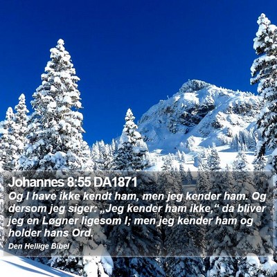 Johannes 8:55 DA1871 Bible Verse Image