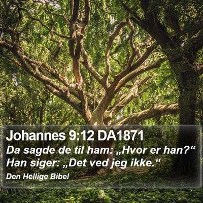 Johannes 9:12 DA1871 Bible Verse Image