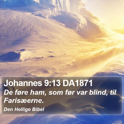 Johannes 9:13 DA1871 Bible Verse Image