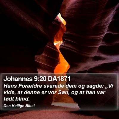 Johannes 9:20 DA1871 Bible Verse Image