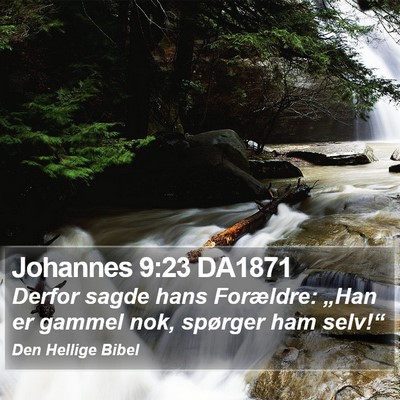 Johannes 9:23 DA1871 Bible Verse Image