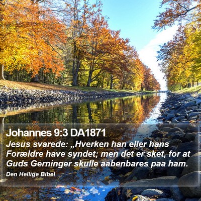 Johannes 9:3 DA1871 Bible Verse Image