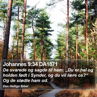 Johannes 9:34 DA1871 Bible Verse Image