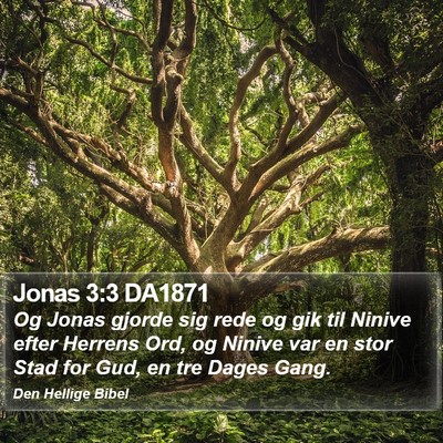 Jonas 3:3 DA1871 Bible Verse Image