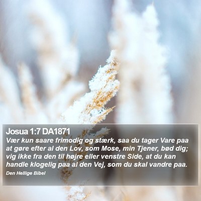 Josua 1:7 DA1871 Bible Verse Image