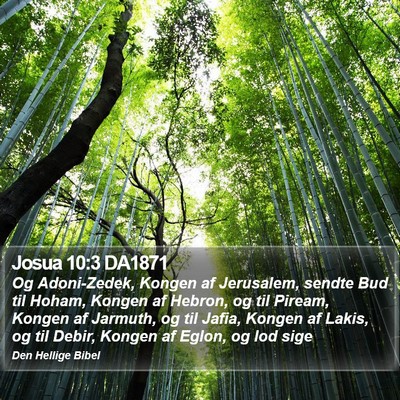 Josua 10:3 DA1871 Bible Verse Image