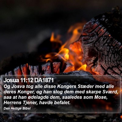 Josua 11:12 DA1871 Bible Verse Image