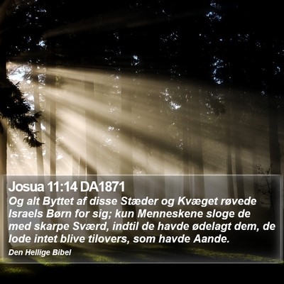 Josua 11:14 DA1871 Bible Verse Image