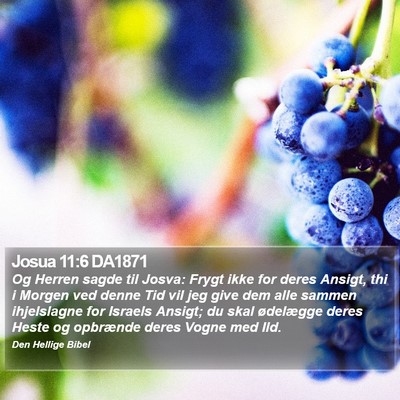 Josua 11:6 DA1871 Bible Verse Image