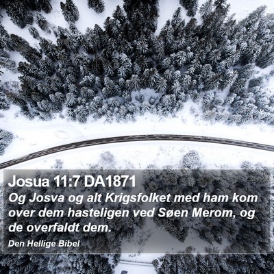 Josua 11:7 DA1871 Bible Verse Image