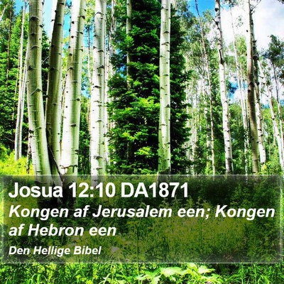 Josua 12:10 DA1871 Bible Verse Image