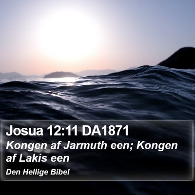 Josua 12:11 DA1871 Bible Verse Image