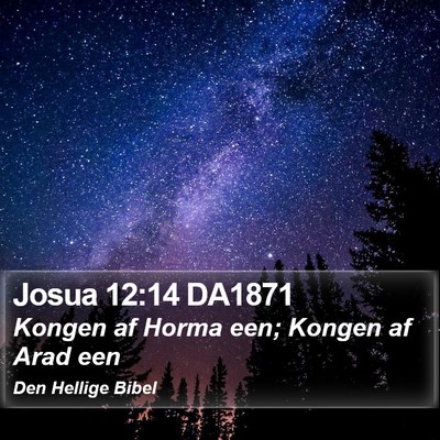 Josua 12:14 DA1871 Bible Verse Image