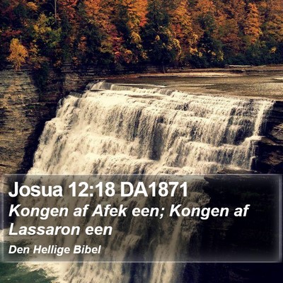 Josua 12:18 DA1871 Bible Verse Image