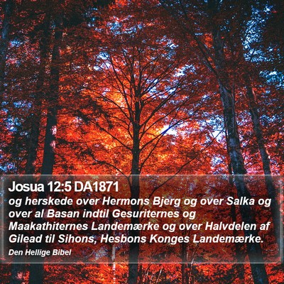 Josua 12:5 DA1871 Bible Verse Image
