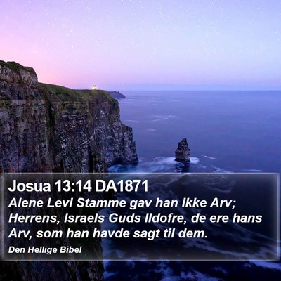 Josua 13:14 DA1871 Bible Verse Image