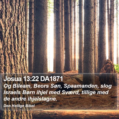 Josua 13:22 DA1871 Bible Verse Image