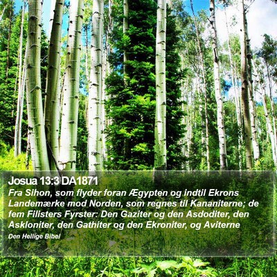 Josua 13:3 DA1871 Bible Verse Image