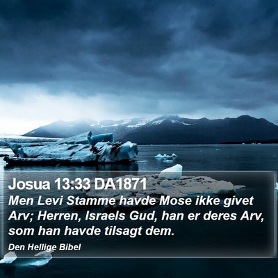 Josua 13:33 DA1871 Bible Verse Image
