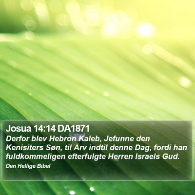 Josua 14:14 DA1871 Bible Verse Image